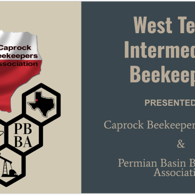 Intermediate Beekeeping Series