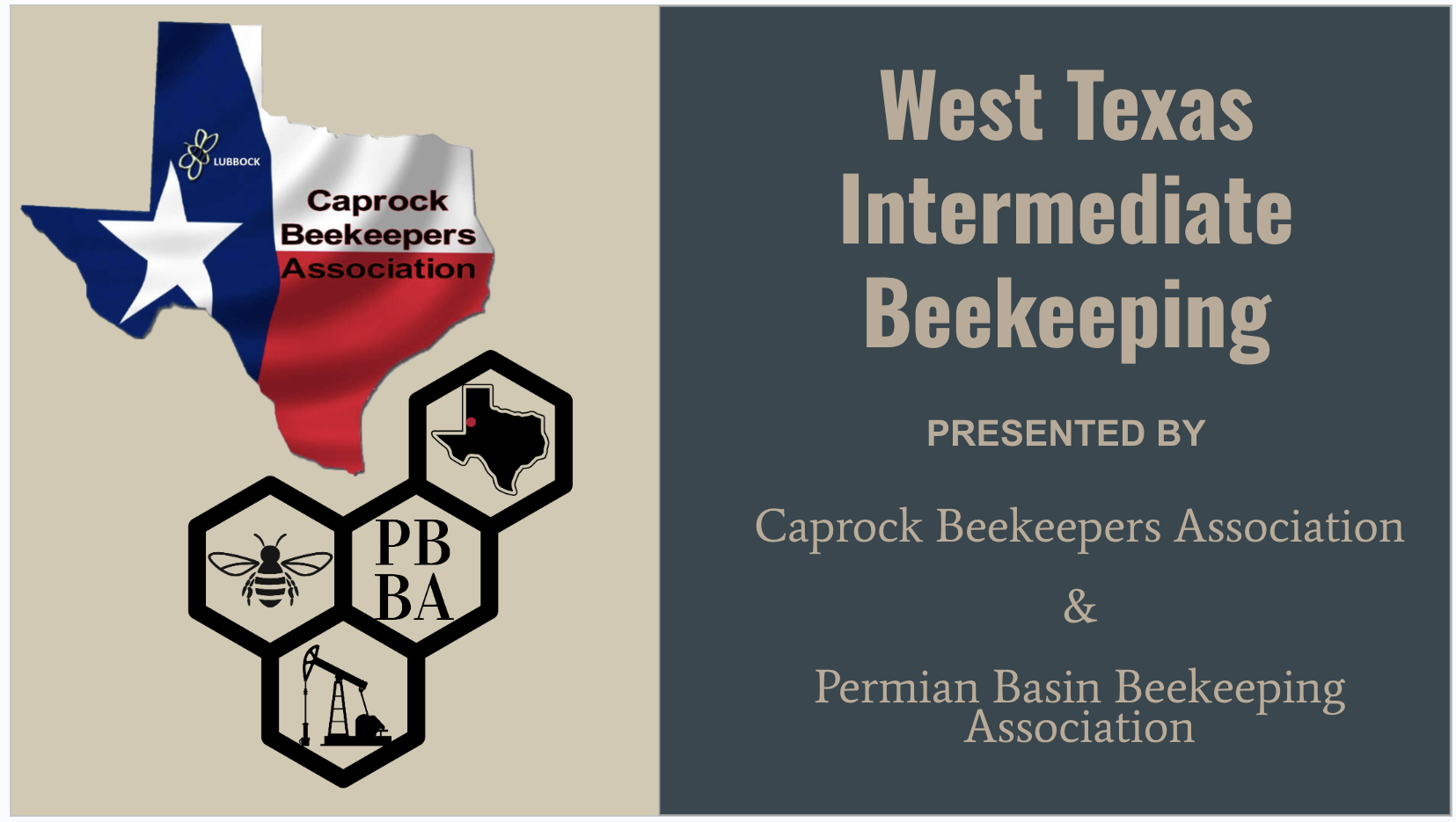 Intermediate Beekeeping Series